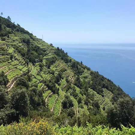 Sergiohome * לה ספציה